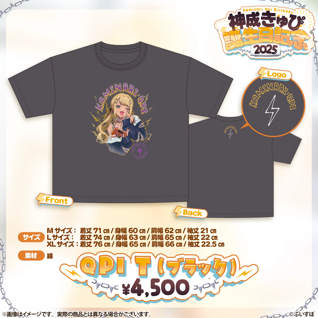 QPI T(ブラック・Mサイズ)