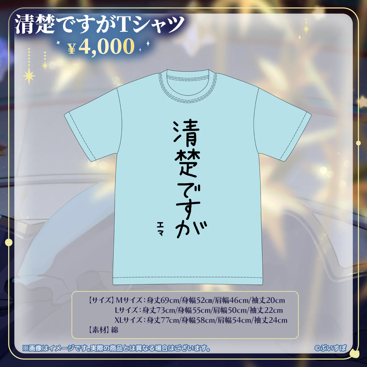 清楚ですがTシャツ　Mサイズ