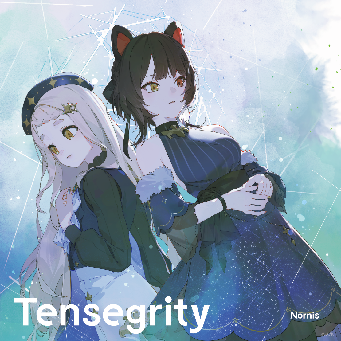 Tensegrity 通常盤 Tensegrity 通常盤の公式画像