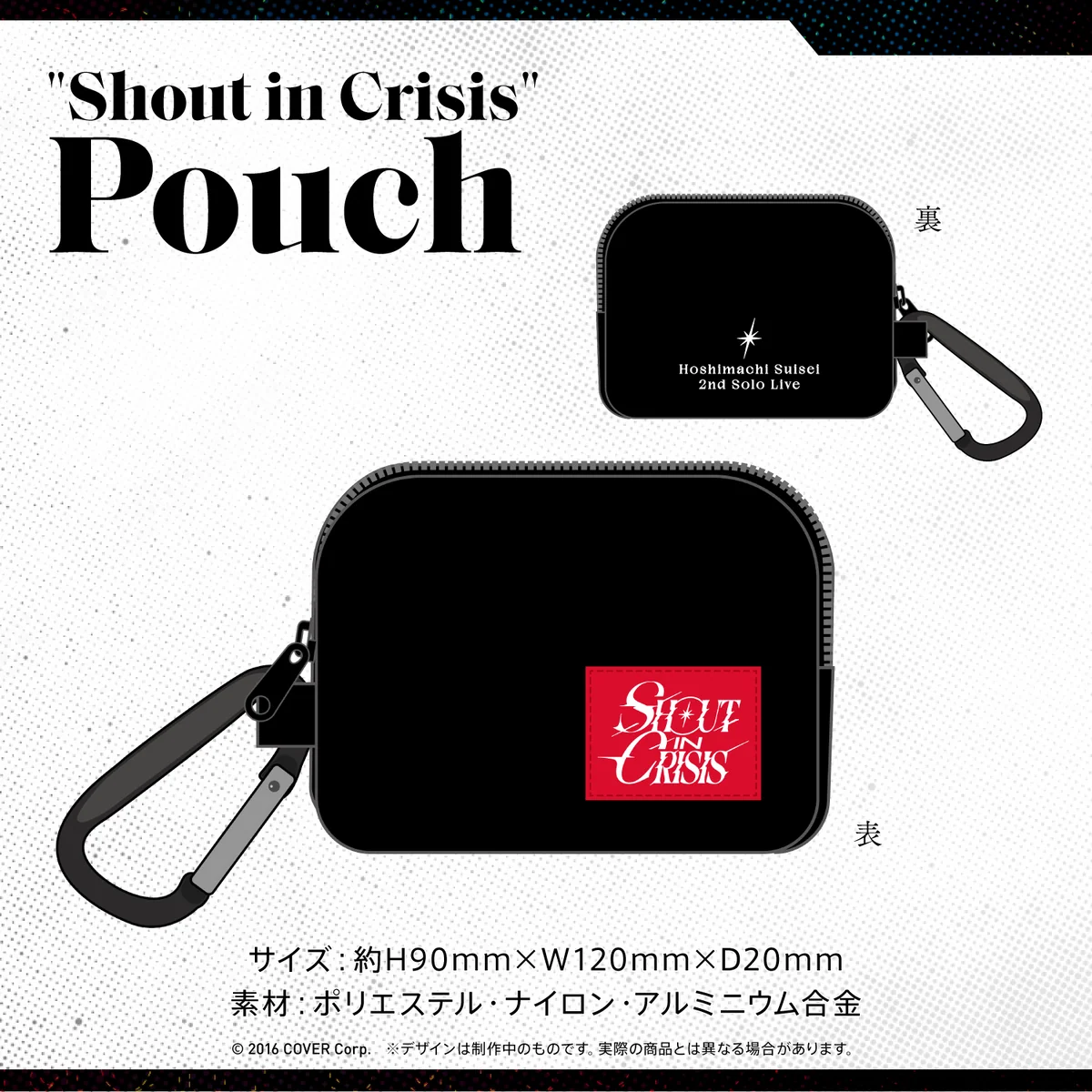 Pouch