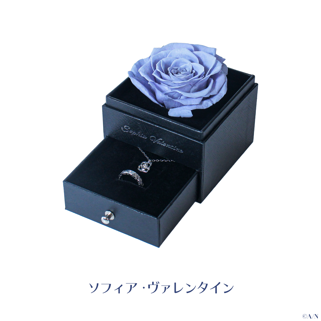 【2024年6月お届け分】【ジューンブライド2024 ~Rose Ribbon Knot ~】ローズボックス入りリング&ネックレスセット