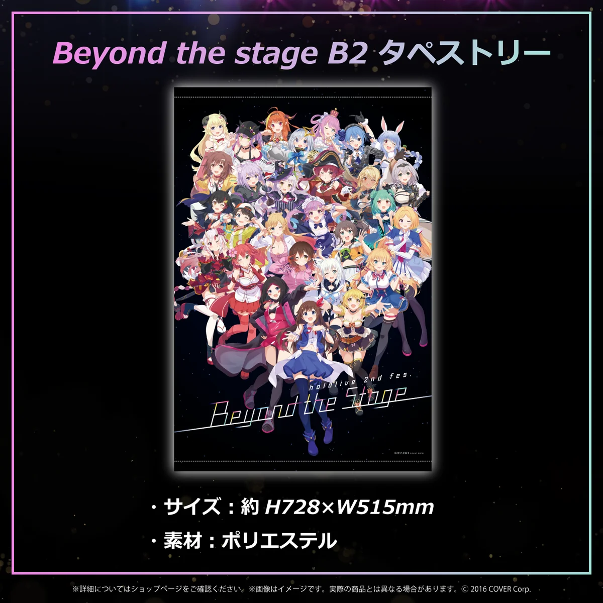 『Beyond the Stage』ライブグッズ再販売 その他 B2タペストリーの公式画像