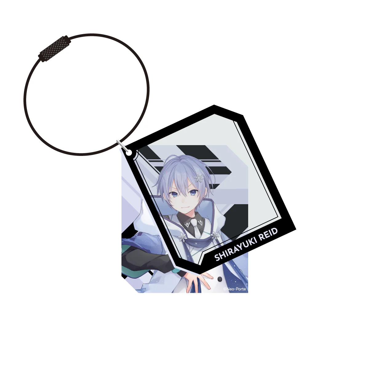 白雪レイド