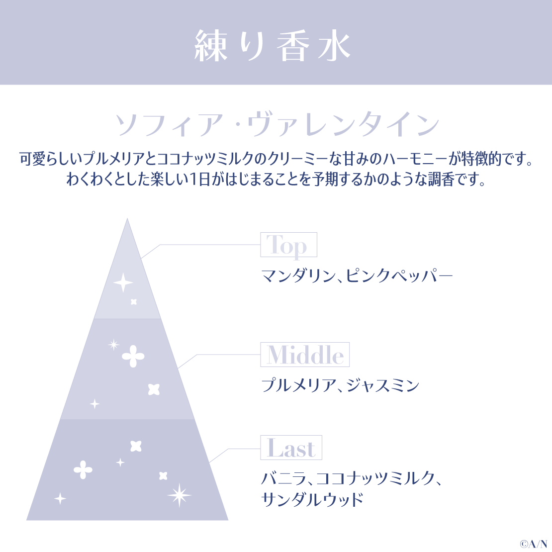 【ジューンブライド2024 ~Rose Ribbon Knot ~】練り香水