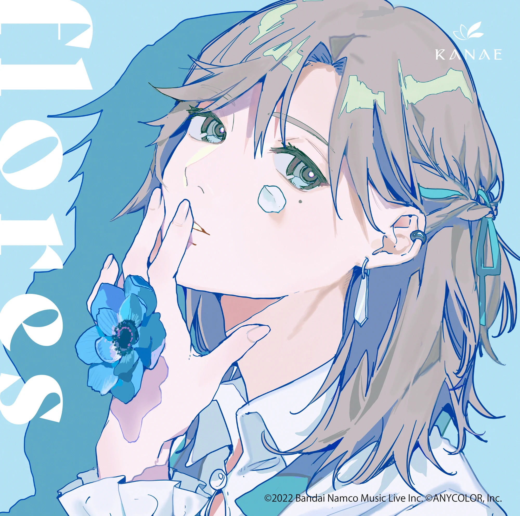 flores 通常盤