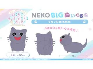 湊あくあ あくあ色すーぱーみらくる☆どり～む♪記念 NEKO BIGぬいぐるみ