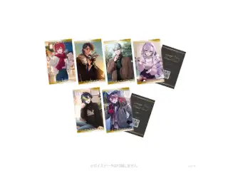 2026年1月【ボイスビジュアルカード】ランダムコレクションカードの公式画像
