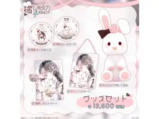 橘ひなの　4周年記念2024 グッズセットの公式画像