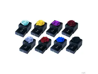 【2024年7月お届け分】【ジューンブライド2024 ～Rose Ribbon Knot ～】ローズボックス入りリング＆ネックレスセット 先斗寧の公式画像