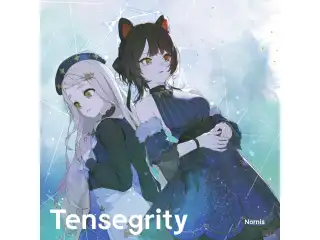 Tensegrity 通常盤