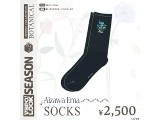 VSPO! LOOK SEASON Vol.2　Accessories VSPO! LOOK SEASON Vol.2　Accessories AIZAWA EMA SOCKSの公式画像