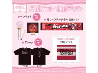 【先行発送】hololive 3rd Generation Live ＃きゅるるん大作戦 〜最強アイドル、推すしかないでしょ〜　ライブグッズ 応援セット 宝鐘マリンの公式画像