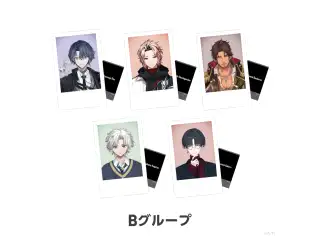 【Another Style Goods vol.1】ランダムチェキ風カード Bグループ