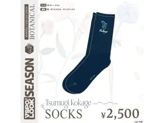 VSPO! LOOK SEASON Vol.2　Accessories TSUMUGI KOKAGE SOCKS