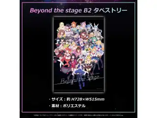『Beyond the Stage』ライブグッズ再販売 その他 B2タペストリーの公式画像