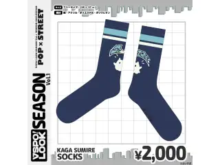 VSPO!LOOK SEASON vol.1 Accessories KAGA SUMIRE　SOCKSの公式画像