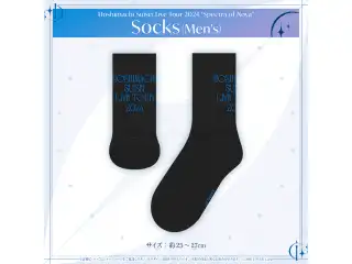 【再販売】Hoshimachi Suisei Live Tour 2024 "Spectra of Nova" ライブグッズ Socks (Men's)の公式画像
