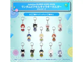 hololive SUPER EXPO 2025 イベントグッズ ランダムピクセルキャラキーホルダー ホロスターズの公式画像